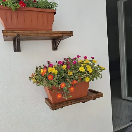 Holiday home Casa Lina *